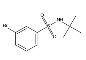 3-bromo-N-(tert-butyl)benzenesulfonamide